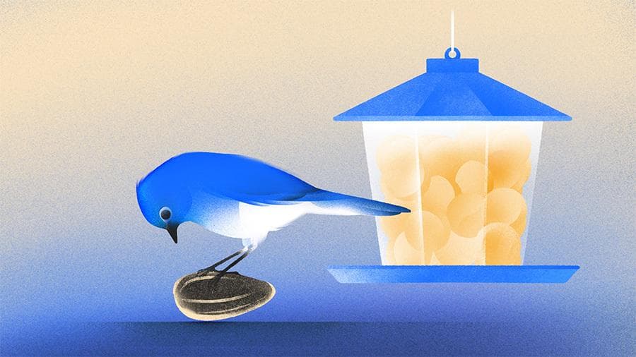 Data: The Seed Funding Boom Is Concentrating Capital In The San Francisco Bay Area